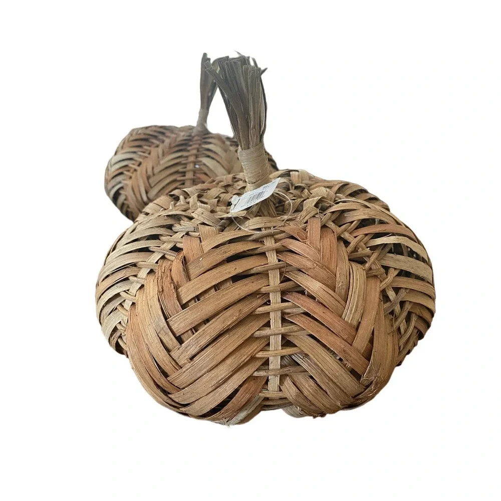 New Pottery Barn Decorative Rattan pumpkin MEDIUM wooden Thanksgiving Halloween
